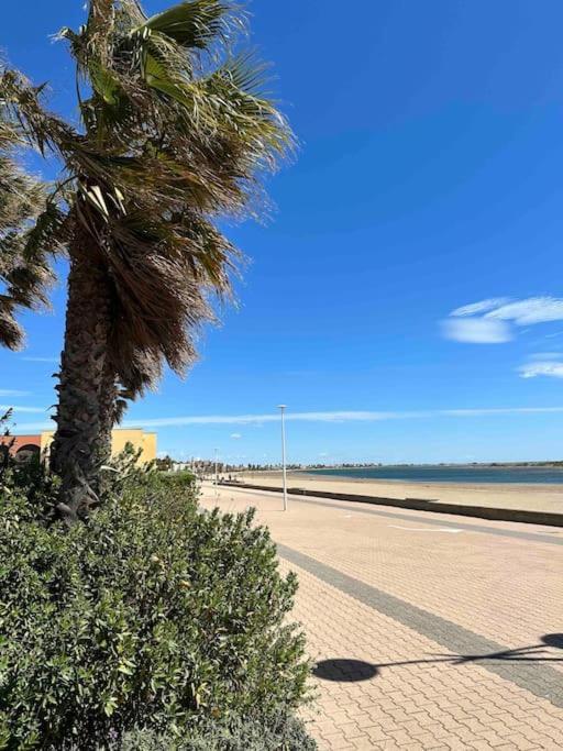 Studio Cosy A Deux Pas De La Plage ! Gruissan Eksteriør billede